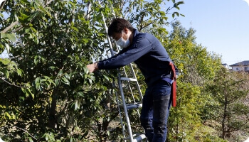 新！庭師・造園家のための通信教育・研修講座｜一般社団法人ガーデン