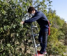 GBA庭師養成講座の写真